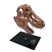 Jurassic Park Bronzed Tyrannosaurus T-Rex  Skull Replica - FET-297854