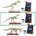 Jurassic World: Fallen Kingdom Velociraptor Fossil Strikers Kit - MTL-FTF03A1