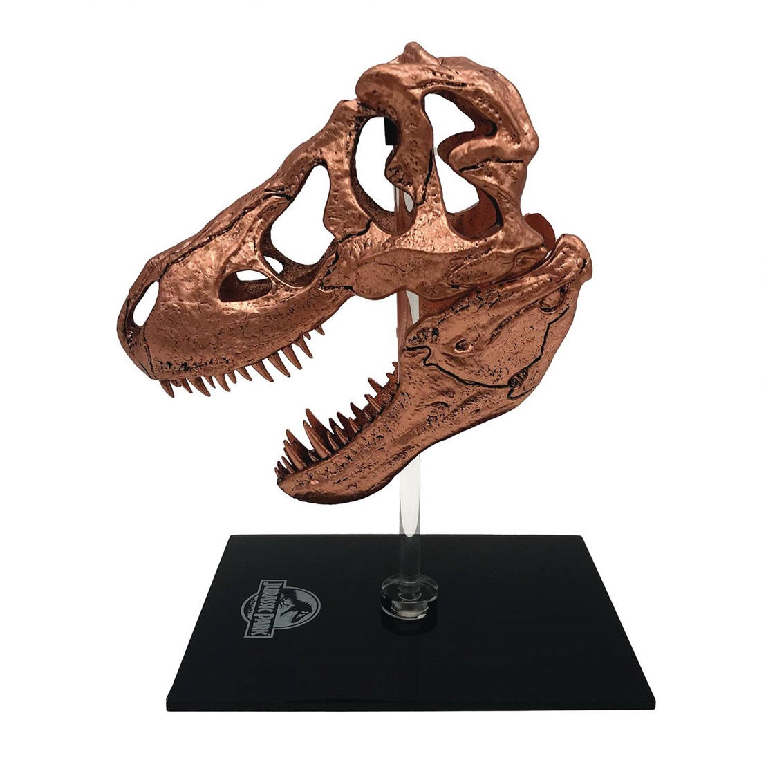 Jurassic Park Bronzed Tyrannosaurus T-Rex  Skull Replica 