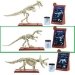 Jurassic World: Fallen Kingdom Velociraptor Fossil Strikers Kit - MTL-FTF03A1